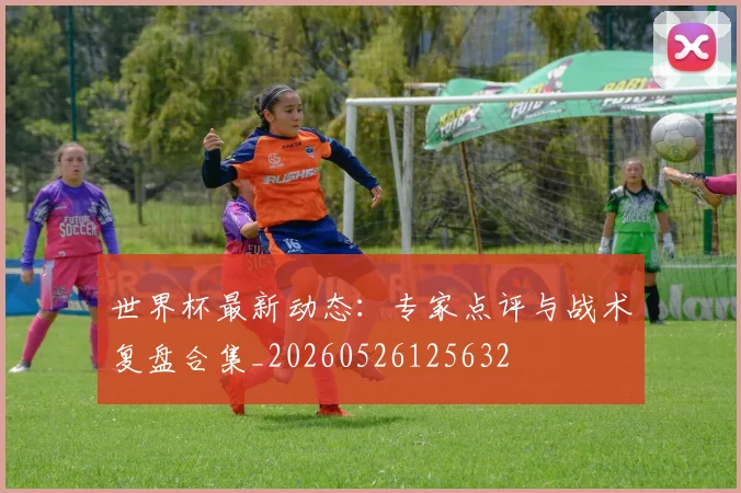 世界杯最新动态：专家点评与战术复盘合集_20260526125632